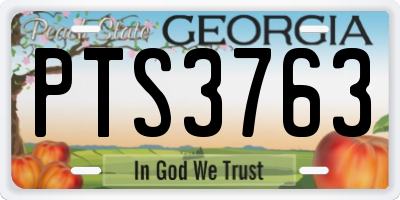 GA license plate PTS3763