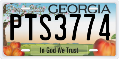 GA license plate PTS3774
