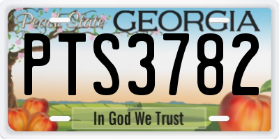 GA license plate PTS3782