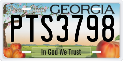GA license plate PTS3798
