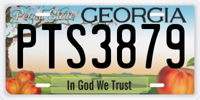 GA license plate PTS3879