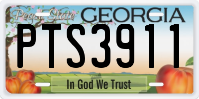 GA license plate PTS3911