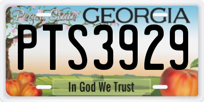 GA license plate PTS3929