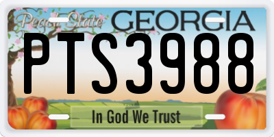 GA license plate PTS3988