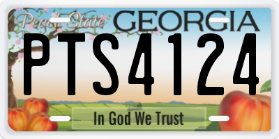 GA license plate PTS4124