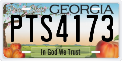 GA license plate PTS4173