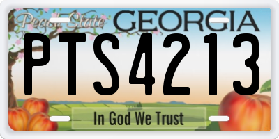GA license plate PTS4213