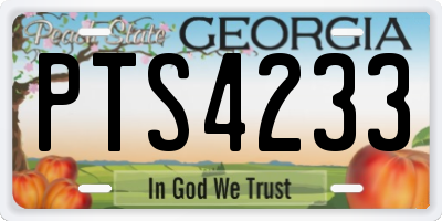 GA license plate PTS4233