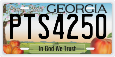 GA license plate PTS4250