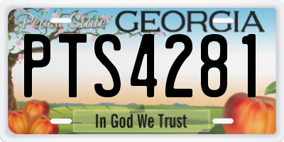 GA license plate PTS4281