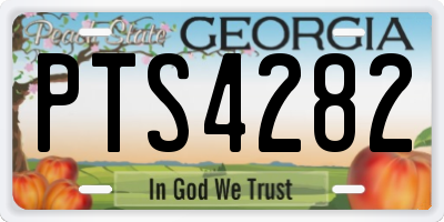 GA license plate PTS4282