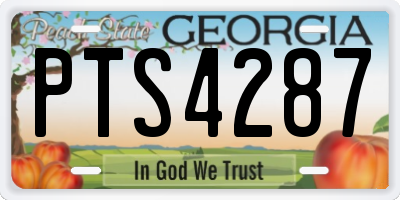 GA license plate PTS4287