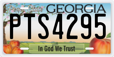 GA license plate PTS4295