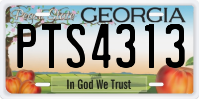GA license plate PTS4313