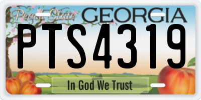 GA license plate PTS4319