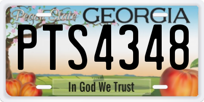 GA license plate PTS4348