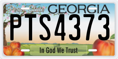 GA license plate PTS4373