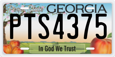 GA license plate PTS4375