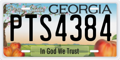 GA license plate PTS4384
