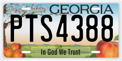 GA license plate PTS4388