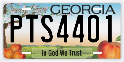 GA license plate PTS4401
