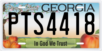 GA license plate PTS4418