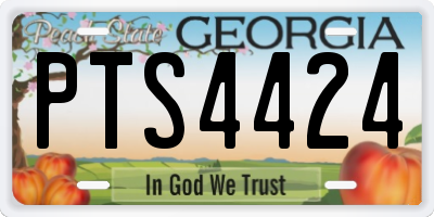 GA license plate PTS4424