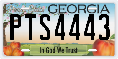 GA license plate PTS4443