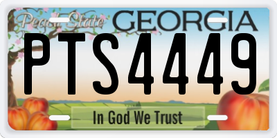 GA license plate PTS4449