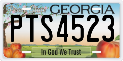 GA license plate PTS4523