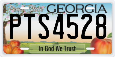 GA license plate PTS4528