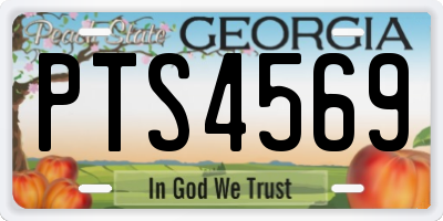 GA license plate PTS4569