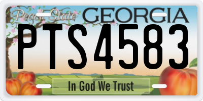 GA license plate PTS4583