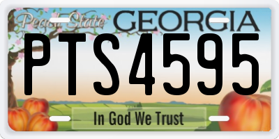 GA license plate PTS4595
