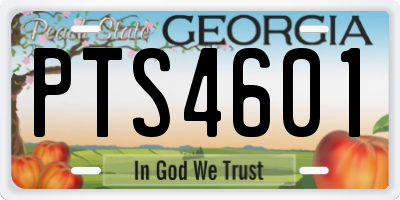 GA license plate PTS4601