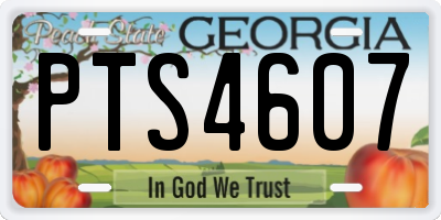 GA license plate PTS4607