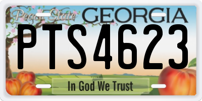 GA license plate PTS4623