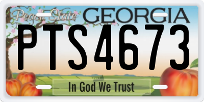 GA license plate PTS4673