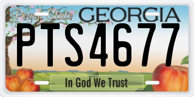 GA license plate PTS4677