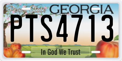 GA license plate PTS4713