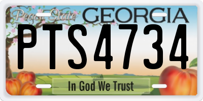 GA license plate PTS4734