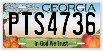 GA license plate PTS4736