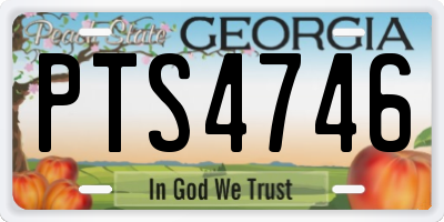 GA license plate PTS4746