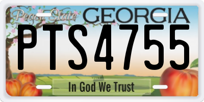 GA license plate PTS4755