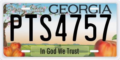 GA license plate PTS4757