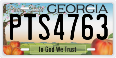 GA license plate PTS4763