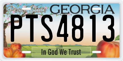GA license plate PTS4813