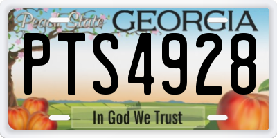 GA license plate PTS4928