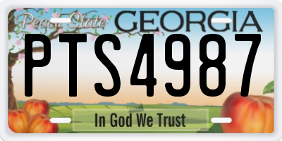 GA license plate PTS4987