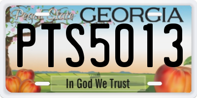 GA license plate PTS5013